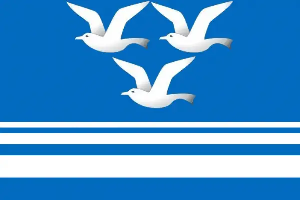 Флаг: Чистоозёрный район